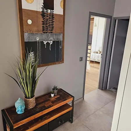 Apartment Avec Parking Centre Mulhouse