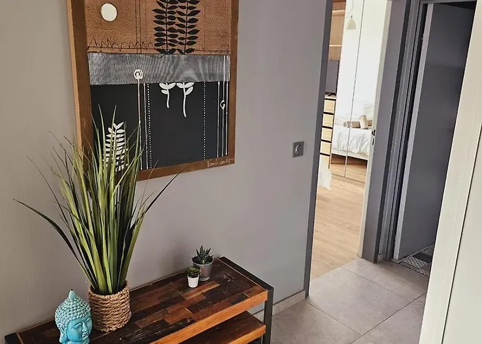 Apartment Avec Parking Centre Mülhausen