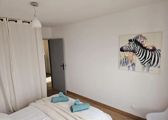 Appartement Avec Parking Centre Mulhouse