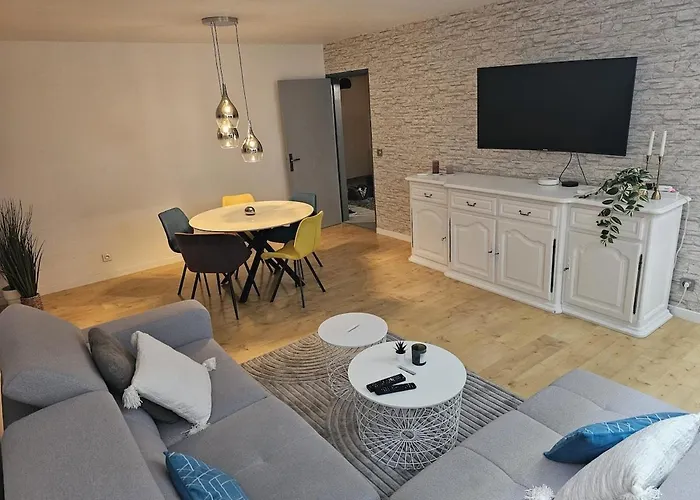 Apartment Avec Parking Centre Mülhausen